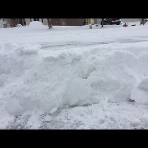 Meet your Posher, Colin